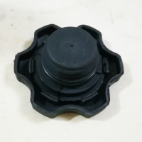 3968202 Oil filler cap (1)